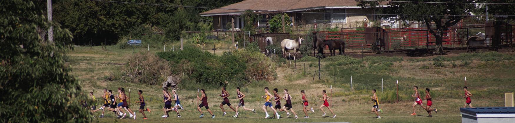 Sports week in pictures