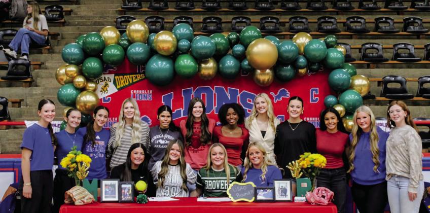 Chandler softball signings