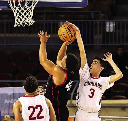 State tournament in photos