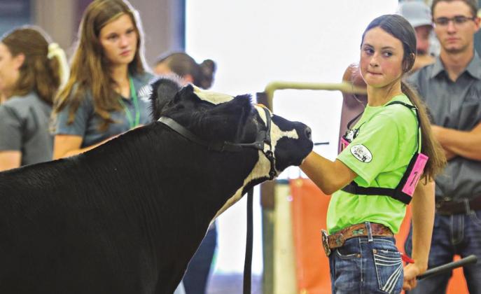 Maddie Frazier and her reserve champion Bred &amp;amp; Owned prospect steer. Photo/provided