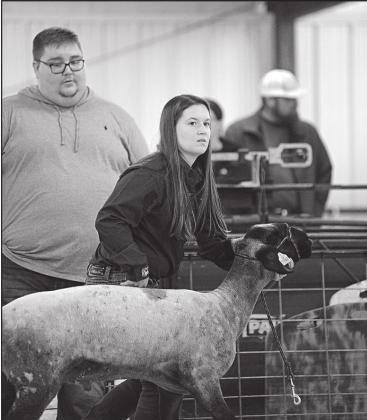 Meeker FFA/4-H livestock show