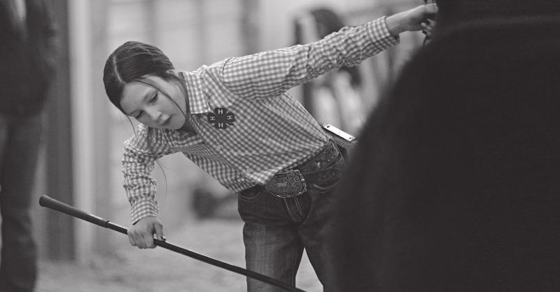 Meeker FFA/4-H livestock show