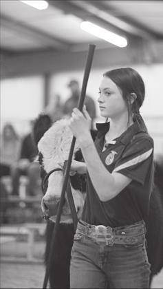 Meeker FFA/4-H livestock show