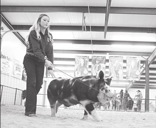 Meeker FFA/4-H livestock show