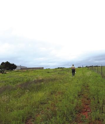 Game Warden Jacob Harriett leads a group out searching for deer on a high-fence property. Photo/Andrew Frazier