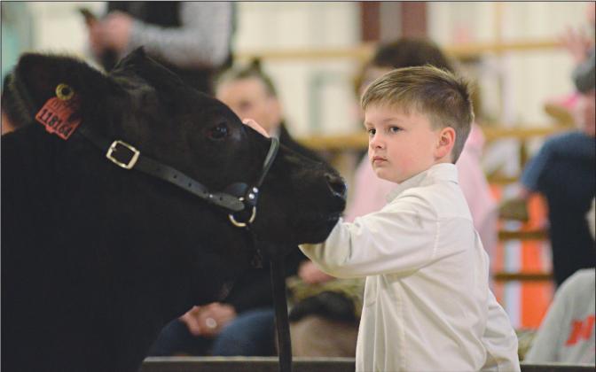 Meeker, Prague livestock shows