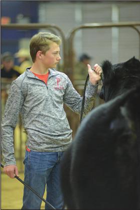 Meeker, Prague livestock shows