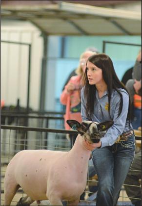 Meeker, Prague livestock shows