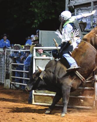 Chandler Rodeo