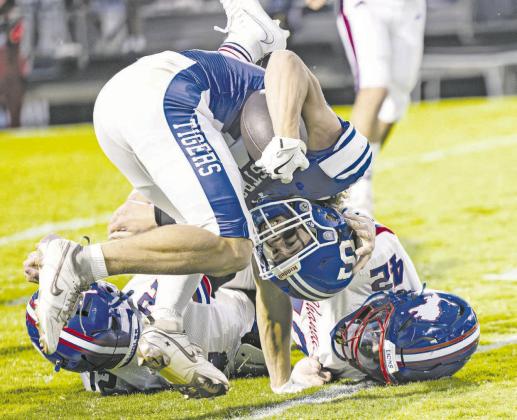 Lions 13, Tigers 8