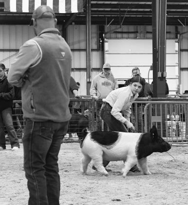 Lincoln County Livestock Show