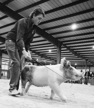 Lincoln County Livestock Show