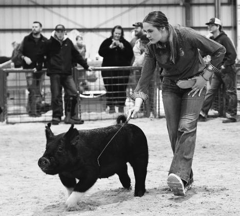 Lincoln County Livestock Show