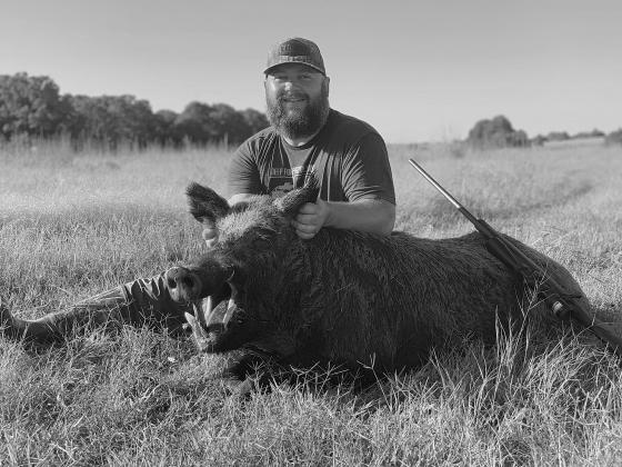 Hogs gone wild