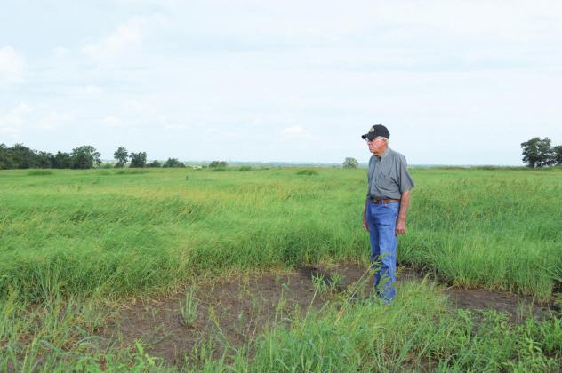 Weather affecting local agriculture