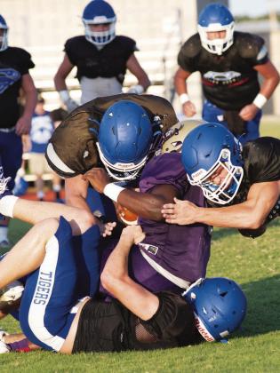 Sports week in pictures