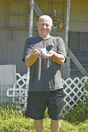 Bob Roberson holds a pigeon outside his loft in Chandler. Photo/Bradley Jager