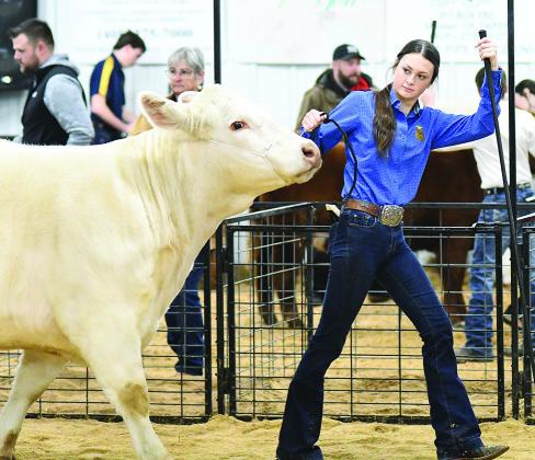 Meeker Livestock Show