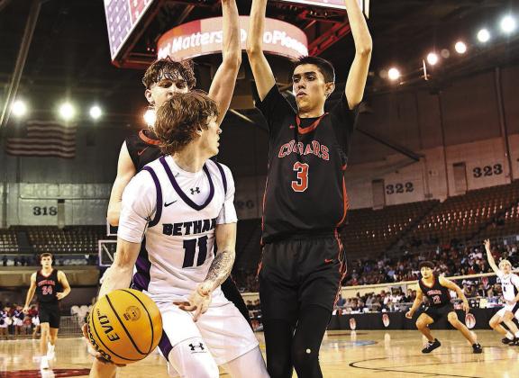 Sports week in photos