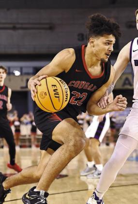 Sports week in photos