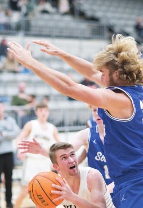 Area basketball