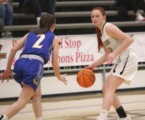 Area basketball
