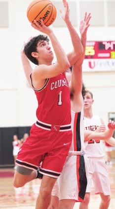 Area basketball
