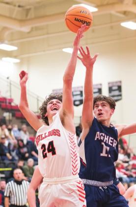 Area basketball