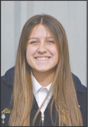 Allie Jarvis