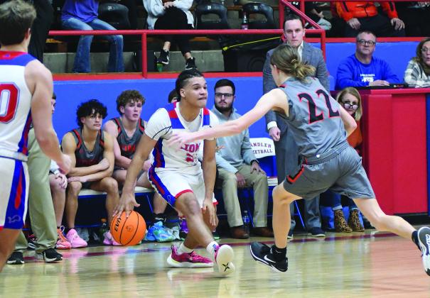 Area basketball