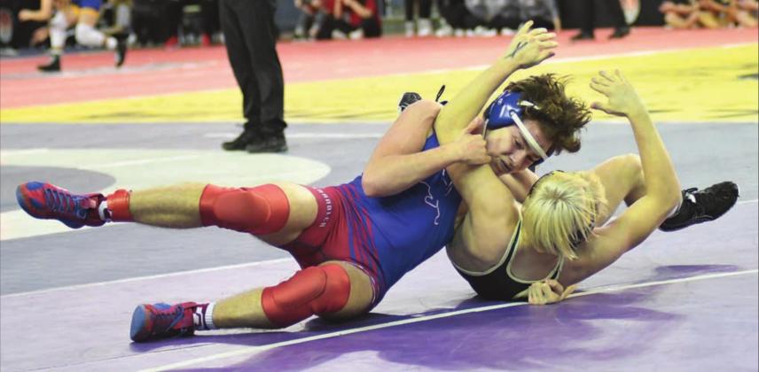 Area sports week in pictures