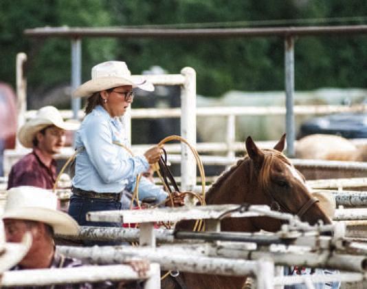 Chandler rodeo in pictures