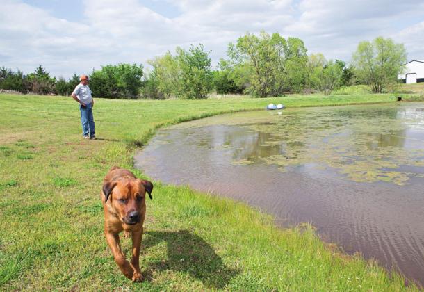 Pond scum problems