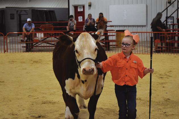 Showtime at the county fair