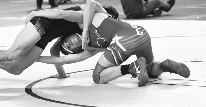 State wrestling tournament