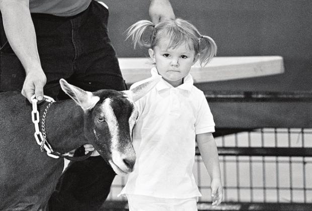 Lincoln County Fair photos