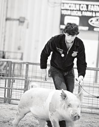 Lincoln County Fair photos