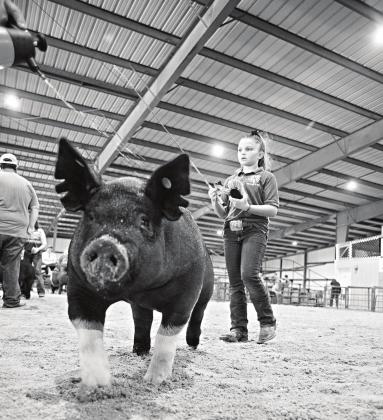 Lincoln County Fair photos