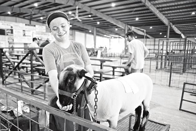 Lincoln County Fair photos