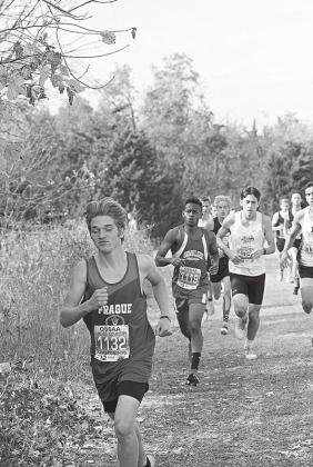 Sports week in pictures