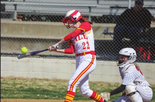 DLPs win Harrah Tournament