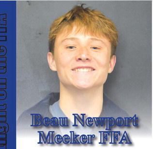 Spotlight on the FFA