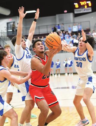 Tigers fall in area