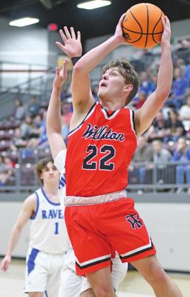 Tigers fall in area