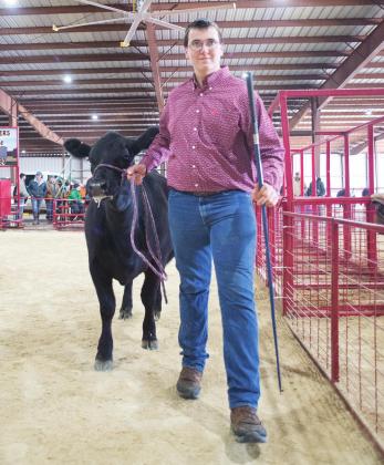 Livestock shows