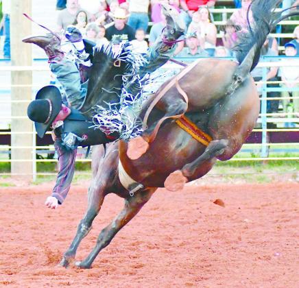 Chandler rodeo in photos