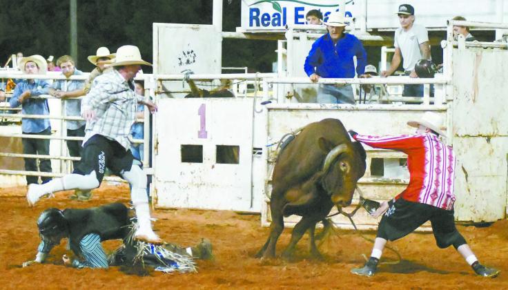Chandler rodeo in photos