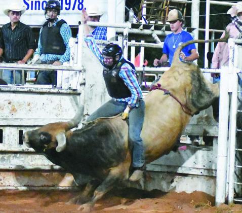 Chandler rodeo in photos
