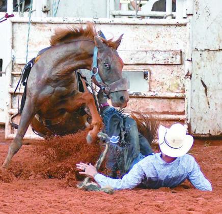 Chandler rodeo in photos