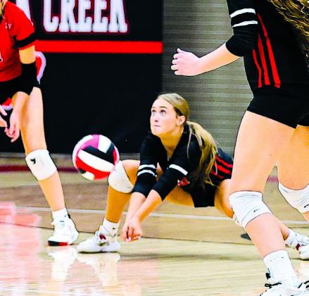 Sports week in pictures